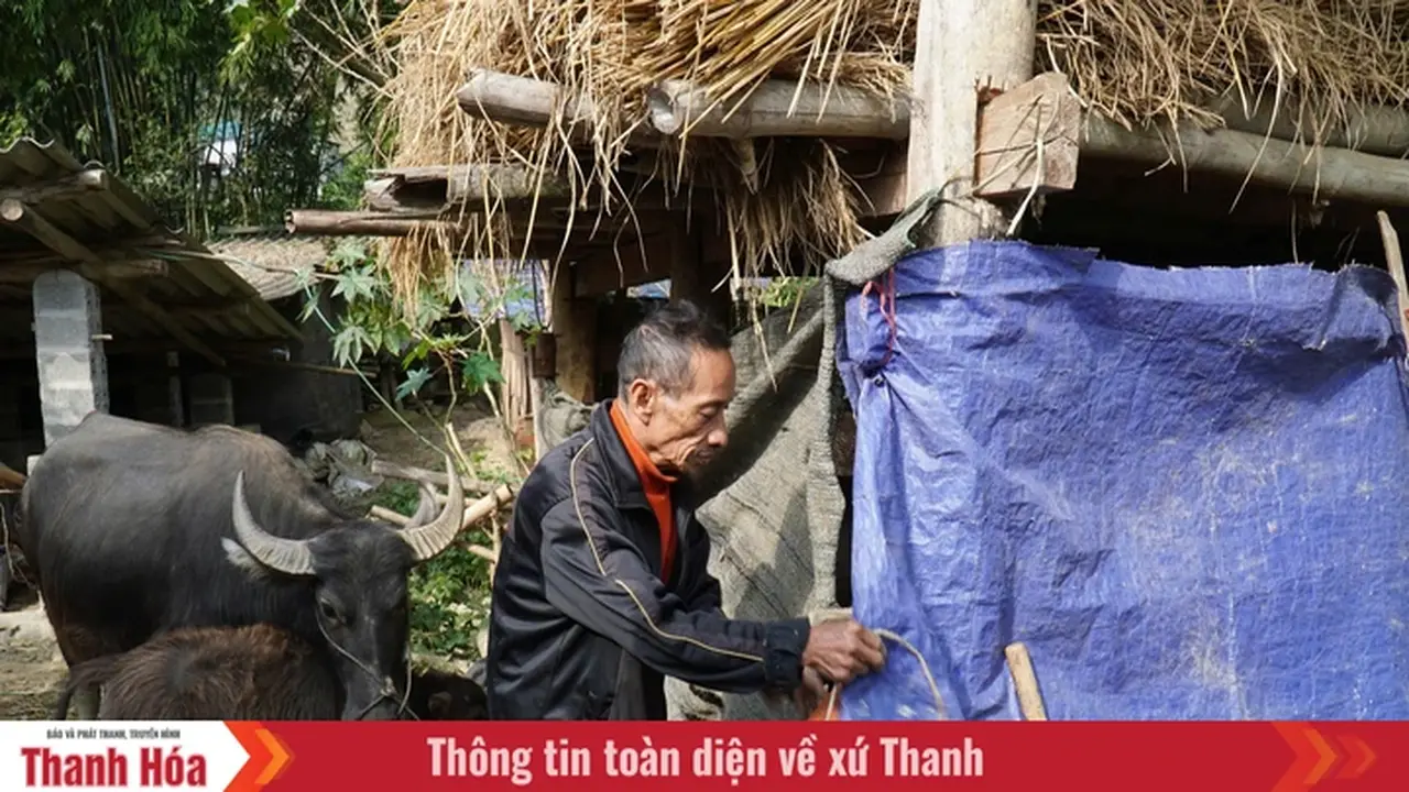 تحرك عاجل في فيتنام.. إجراءات استباقية لمواجهة برد الشتاء وحماية السكان بـ ثانه هوا